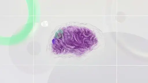 Neuro-Semiotic Design for Digital Products