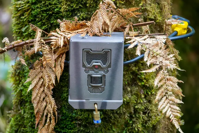 Real-Time Data Monitoring Systems